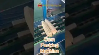 Automatic Corn Packing Machine &ndash; Fast & Efficient | 25 Bags/Min #foodwrappingmachine