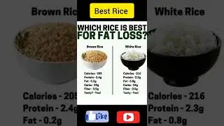 weight loss 🍚/ best rice / low fat / brown rice / white rice / which rice best for fat loss tamil🍚🍱💪