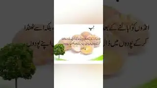 Urdu tips and tricks #urdu totkay #urdutips#wintercollection #viral #short #new#urdu tips