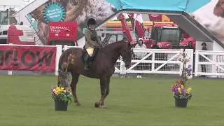 Draught performance Balmoral 2017