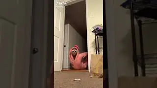 ushy gushy