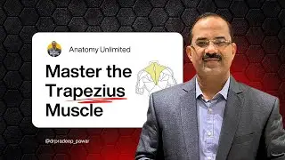 🤯 TRAPEZIUS ANATOMY: The Secret VIVA & Exam Questions You MUST Know (Dr. Pradeep Pawar)