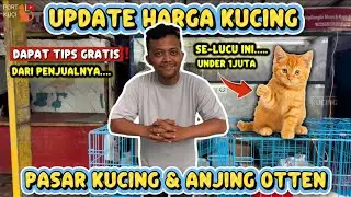 Satu-satunya Pasar Kucing dan Anjing di Bandung ? | Jajal Harga Kucing di Pasar Otten