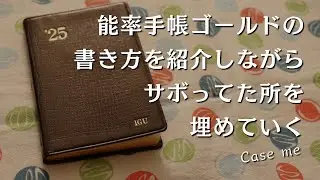 【能率手帳ゴールド】私の書き方紹介と、日記を書いていく作業【手帳タイム】　＃399