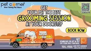🐾 PETCORNER Grooming Service 🐾