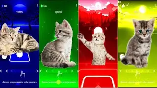 Cute cats | Tiles Hop | Tiles Hop edm rush