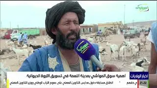 أهمية سوق المواشي بمدينة النعمة في تسويق الثروة الحيوانية