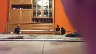 Geil Slav training