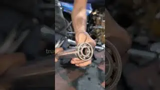boxer CT 100