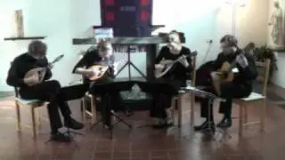 Lagrima Solitarie - Elegia by SILVIO NEGRI performed by the Zwols Mandolin Quartet