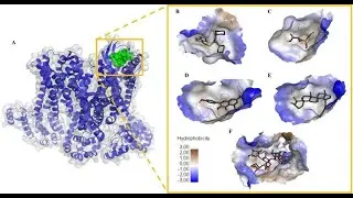 Molecular Docking Tutorial (Part 1) | Protein & Ligand Download | Tools You Need for Docking.