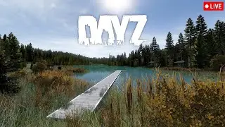 New DayZ Map Nyheim & New York - 1440p #livestream #survival #dayz