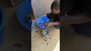 Batch 3 Day 7 Mixing the Vaccine with Distilled Water   Part 2
