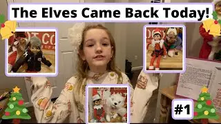 The Elves Came Back Today! Elf on the Shelf | Day 1