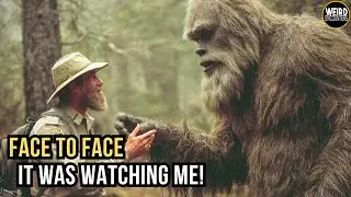 The Bigfoot Encounter That Shocked Everyone - Compilation Stories