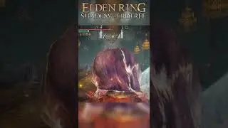 Самое имбалансное оружие на интеллект в Elden Ring