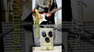 Dani California Cover/Fuzz tc electronic Honey Pot #rhcp #danicalifornia  #tcelectronic #honeypot