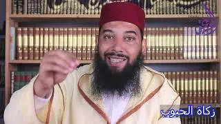 نصاب زكاة الحبوب