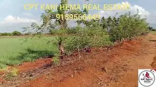 (9159566449)திண்டுக்கல் மாவட்டம், ஒட்டன்சத்திரம் அம்பிளிக்கை அருகே செம்மண் நிலம் விற்பனைக்கு உள்ளது