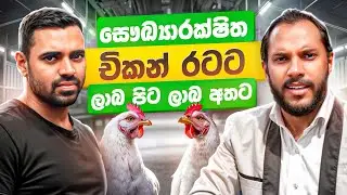 අතට සල්ලි මවන බ්&zwj;රොයිලර් කුකුළු පාලනය | Milmolac | Broiler Chicken Farming Sri Lanka