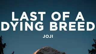Joji - Last of a Dying Breed (Lyrics)