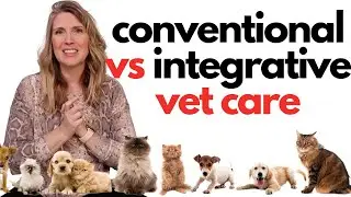 Conventional Vet Care VS Integrative Vet Care