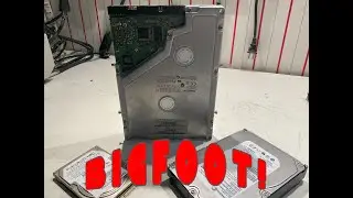 The Quantum Bigfoot: A short-lived take on 5.25 hard disk drives