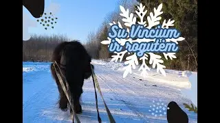 Mi&scaron;ke su Vincium ir balninės organizavimas - UJ Liberty Work