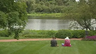 How nature can nurture your mental health