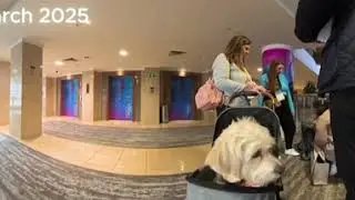 IT Nation Connect Europe Wrap up in 360 Degrees