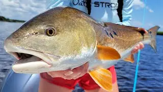 THIS Is How To Catch More Redfish In Late Summer