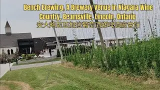 Niagara Brewery Venue: Bench Brewing in Wine Country, Beamsville, Lincoln, Ontario 安大略尼亞加拉葡萄酒鄉啤酒廠會所