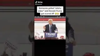 Donald Trump reaction to 