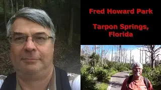 Experience Tarpon Springs' Best-Kept Secret: Fred Howard Park