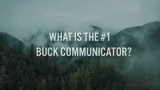 Best Deer Mock Scrape Licking Branch System BuckStik