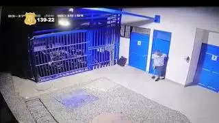 Buscan a sospechosos de robos en vivienda y bodega en Osa