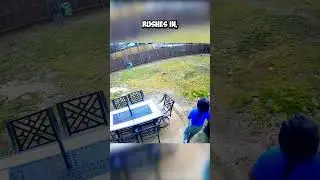 Death-Defying Moment: Puppy Almost Flies Away! 😱 #shorts