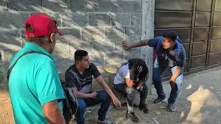 URGENTE KARINA llego llorando a la casa de MAYCOL algo terribl3 paso