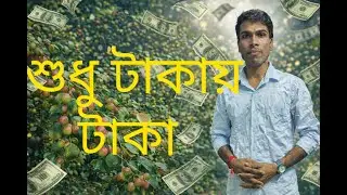 শুধু টাকায় টাকা  | My New Farming Videos | #farming  #fruit #applekulchas  #profitablefarming