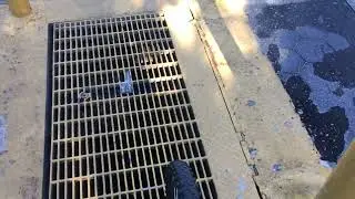 What's This Sound Coming From Subway Grates in Eastern Parkway?