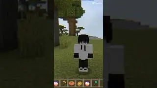 ArAr playing minecraft me this is my skin and Minecraft subscribe