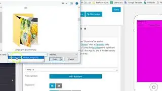 How to Add Image to custom page?