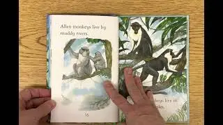 Monkeys by Sarah Courtauld read aloud
