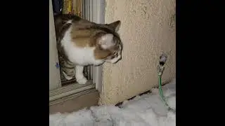 snow first time since we move to oro valley AZ in 2019(1)