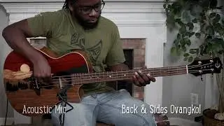 Luna Vista Bear Bass Guitar with Fishman Preamp