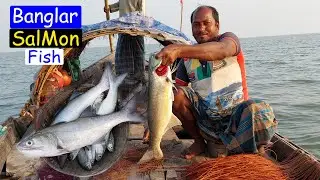 গভীর সমুদ্রে ইলিশে তাইরে মাছ ধরা চলছে এখনো | Banglar Salmon Fish | Adventure BD