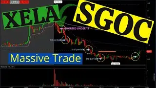 SGOC (SGOCO GROUP) XELA (EXELA) How to manage risk in trading | YB Trading | Massive trade on SGOC