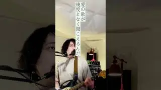 warbear cover Coldplay「Higher Power (JP)」