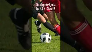 Top 10 Most Popular Sports in the World 🌍 | Sports With the Most Fans in 2025 #rankedreality  #short