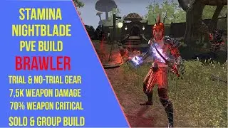 ESO Stamina Nightblade PVE Build - Brawler - Ascending Tide